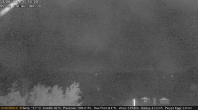 immagine della webcam nei dintorni di Caselle Torinese: webcam Rivalba