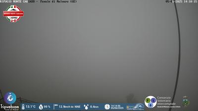 immagine della webcam nei dintorni di Camogli: webcam Favale di Malvaro