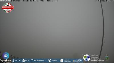 immagine della webcam nei dintorni di Recco: webcam Favale di Malvaro