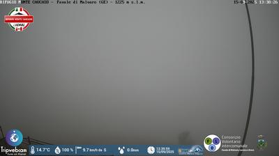 immagine della webcam nei dintorni di Zoagli: webcam Favale di Malvaro