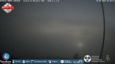 immagine della webcam nei dintorni di Zerba: webcam Favale di Malvaro