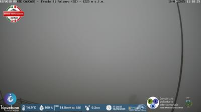 immagine della webcam nei dintorni di Cicagna: webcam Favale di Malvaro