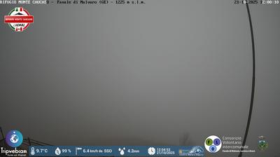 immagine della webcam nei dintorni di San Fruttuoso: webcam Favale di Malvaro