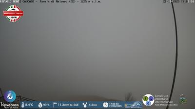 immagine della webcam nei dintorni di San Colombano Certenoli: webcam Favale di Malvaro