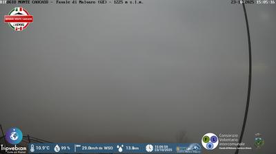 immagine della webcam nei dintorni di Riva Ponente: webcam Favale di Malvaro