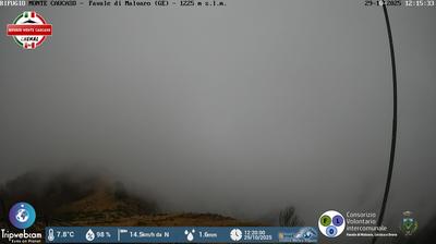 immagine della webcam nei dintorni di Sori: webcam Favale di Malvaro