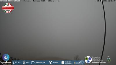 immagine della webcam nei dintorni di Cicagna: webcam Favale di Malvaro