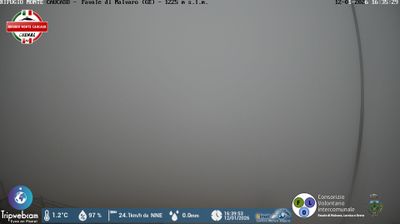 immagine della webcam nei dintorni di Carrega Ligure: webcam Favale di Malvaro