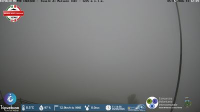 immagine della webcam nei dintorni di Ferriere: webcam Favale di Malvaro