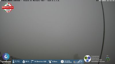 immagine della webcam nei dintorni di Tribogna: webcam Favale di Malvaro