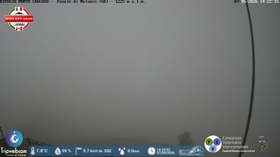 immagine della webcam nei dintorni di Rapallo: webcam Favale di Malvaro