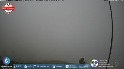 immagine della webcam nei dintorni di Tribogna: webcam Favale di Malvaro