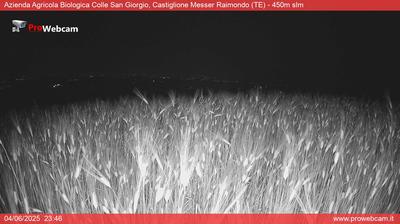 immagine della webcam nei dintorni di Colledara: webcam Castiglione Messer Raimondo