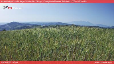 immagine della webcam nei dintorni di Silville: webcam Castiglione Messer Raimondo