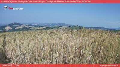 immagine della webcam nei dintorni di Casale San Nicola (alto): webcam Castiglione Messer Raimondo