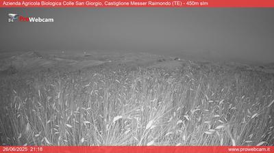immagine della webcam nei dintorni di Cologna Spiaggia: webcam Castiglione Messer Raimondo