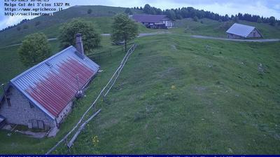 Preview delle webcam di Alpago: Pian del Cansiglio
