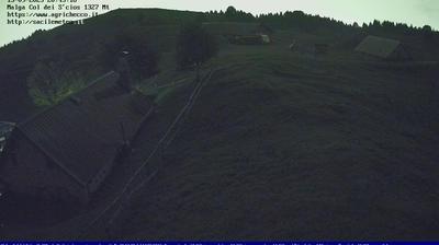 immagine della webcam nei dintorni di Belluno: webcam Pian del Cansiglio