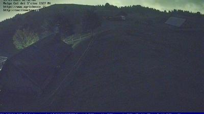 immagine della webcam nei dintorni di Pordenone: webcam Pian del Cansiglio
