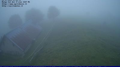 immagine della webcam nei dintorni di Farra d'Alpago: webcam Pian del Cansiglio