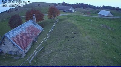 immagine della webcam nei dintorni di Lago Santa Croce (alto): webcam Pian del Cansiglio
