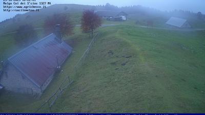 immagine della webcam nei dintorni di Piave: webcam Pian del Cansiglio