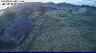 immagine della webcam nei dintorni di Farra d'Alpago: webcam Pian del Cansiglio