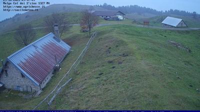 immagine della webcam nei dintorni di Santa Croce: webcam Pian del Cansiglio