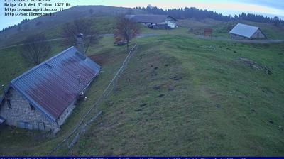 immagine della webcam nei dintorni di Belluno: webcam Pian del Cansiglio