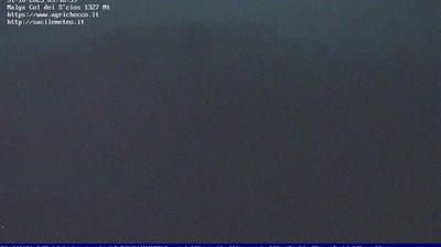 immagine della webcam nei dintorni di Ponte nelle Alpi: webcam Pian del Cansiglio