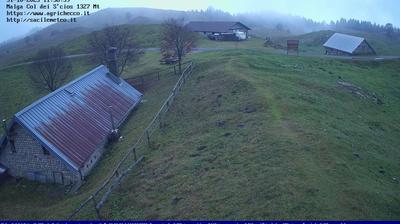 immagine della webcam nei dintorni di Barcis: webcam Pian del Cansiglio