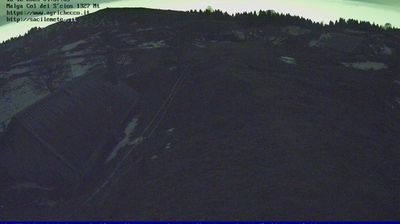 immagine della webcam nei dintorni di Vittorio Veneto: webcam Pian del Cansiglio