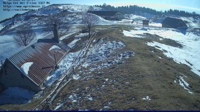 immagine della webcam nei dintorni di San Pietro di Feletto: webcam Pian del Cansiglio