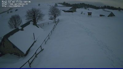 immagine della webcam nei dintorni di Piave: webcam Pian del Cansiglio