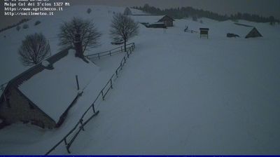 immagine della webcam nei dintorni di Tambre: webcam Pian del Cansiglio