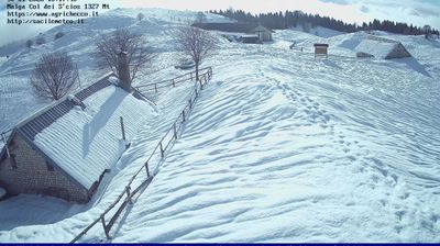 immagine della webcam nei dintorni di Budoia: webcam Pian del Cansiglio