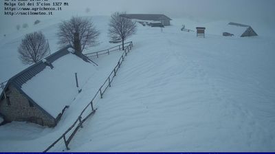 immagine della webcam nei dintorni di Ponte nelle Alpi: webcam Pian del Cansiglio