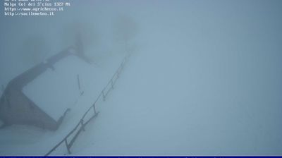 immagine della webcam nei dintorni di Vittorio Veneto: webcam Pian del Cansiglio