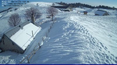 immagine della webcam nei dintorni di Revine Lago: webcam Pian del Cansiglio