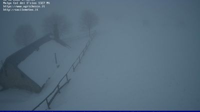 immagine della webcam nei dintorni di Belluno: webcam Pian del Cansiglio