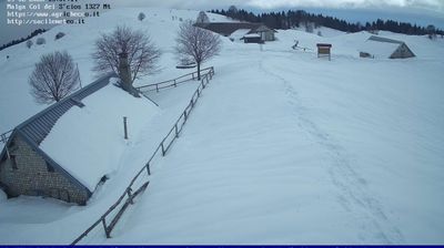 immagine della webcam nei dintorni di Piancavallo: webcam Pian del Cansiglio