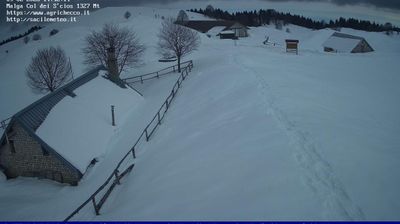 immagine della webcam nei dintorni di Sacile: webcam Pian del Cansiglio