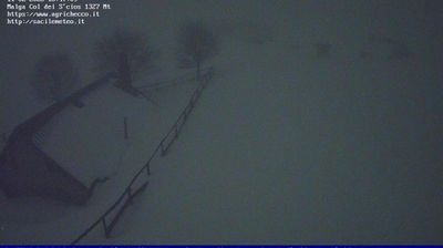 immagine della webcam nei dintorni di Belluno: webcam Pian del Cansiglio