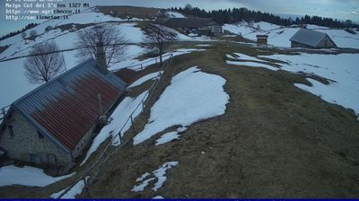 immagine della webcam nei dintorni di Soverzene: webcam Pian del Cansiglio