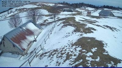 immagine della webcam nei dintorni di Aviano: webcam Pian del Cansiglio