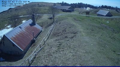 immagine della webcam nei dintorni di Vittorio Veneto: webcam Pian del Cansiglio