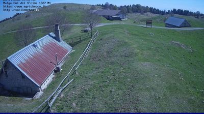 immagine della webcam nei dintorni di Ponte nelle Alpi: webcam Pian del Cansiglio