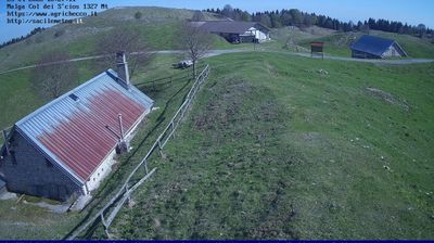 immagine della webcam nei dintorni di Ponte nelle Alpi: webcam Pian del Cansiglio
