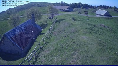 immagine della webcam nei dintorni di Ponte nelle Alpi: webcam Pian del Cansiglio