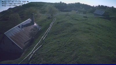 immagine della webcam nei dintorni di Soverzene: webcam Pian del Cansiglio